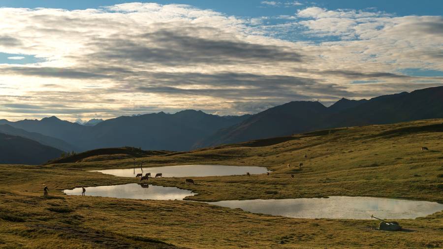 tessenbergeralm_01